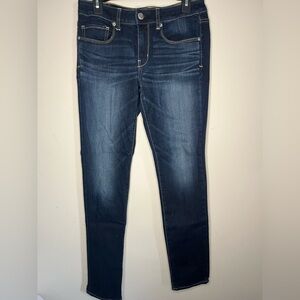 EUC American Eagle Outfitters (AEO) Denim Skinny Jeans - Size 8